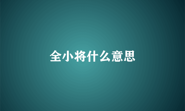 全小将什么意思