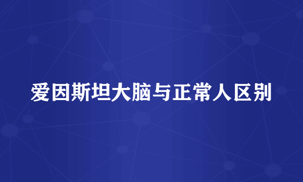 爱因斯坦大脑与正常人区别