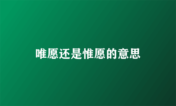 唯愿还是惟愿的意思