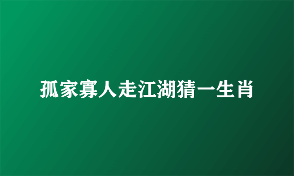 孤家寡人走江湖猜一生肖