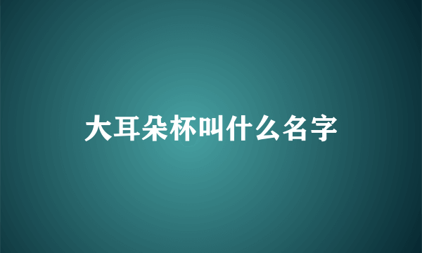 大耳朵杯叫什么名字