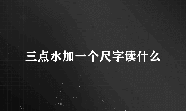 三点水加一个尺字读什么