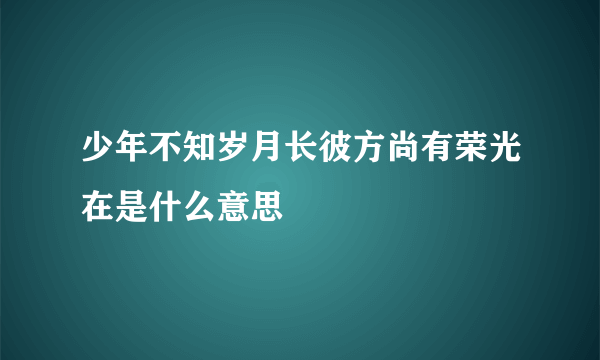 少年不知岁月长彼方尚有荣光在是什么意思