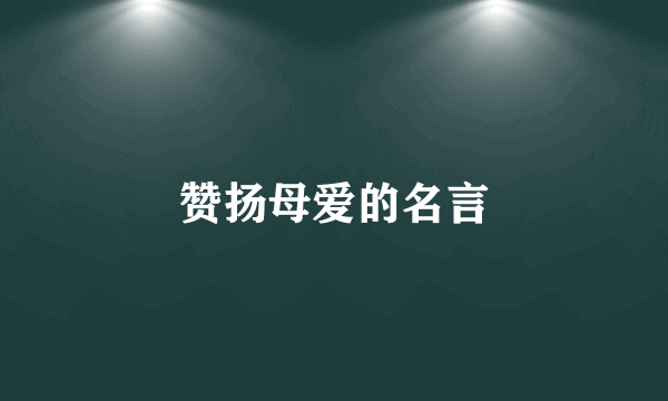 赞扬母爱的名言