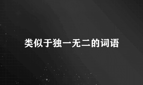类似于独一无二的词语