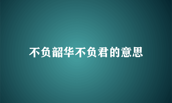不负韶华不负君的意思