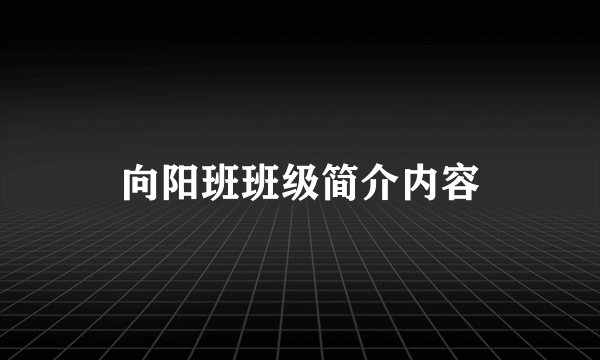向阳班班级简介内容