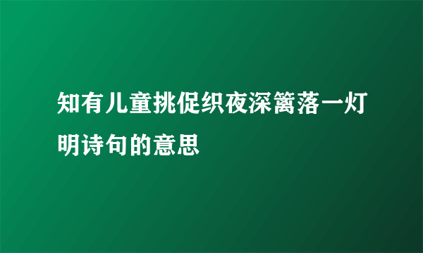 知有儿童挑促织夜深篱落一灯明诗句的意思