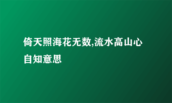 倚天照海花无数,流水高山心自知意思