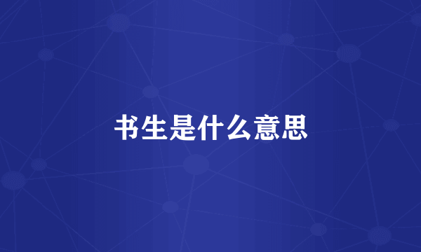 书生是什么意思