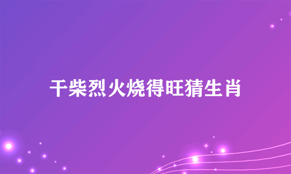 干柴烈火烧得旺猜生肖