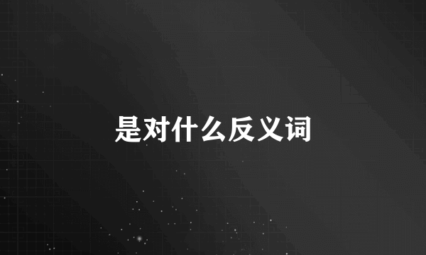 是对什么反义词