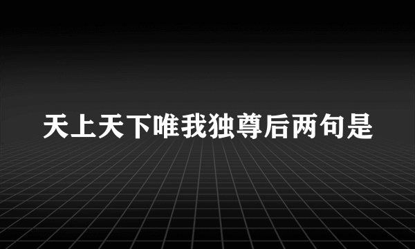 天上天下唯我独尊后两句是
