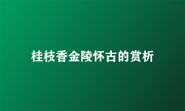 桂枝香金陵怀古的赏析