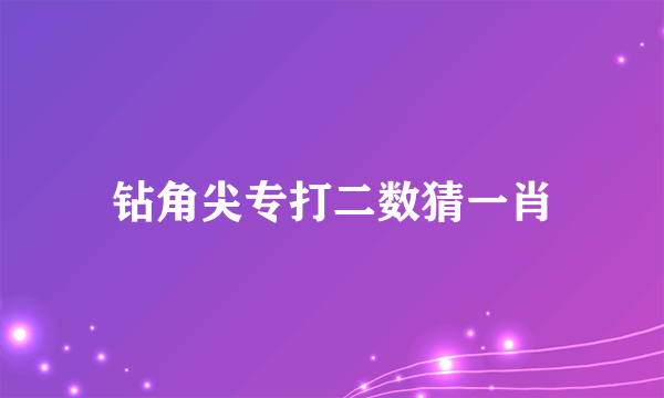 钻角尖专打二数猜一肖