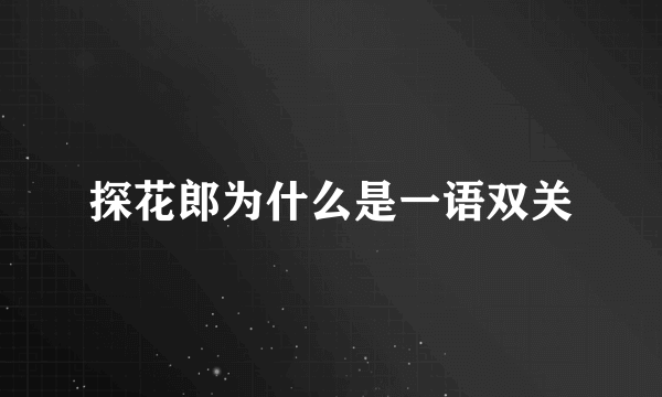 探花郎为什么是一语双关