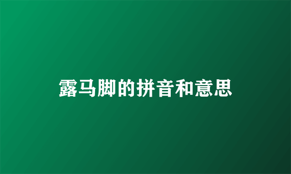露马脚的拼音和意思
