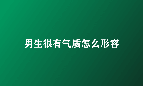 男生很有气质怎么形容