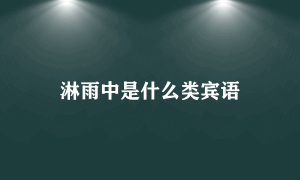 淋雨中是什么类宾语