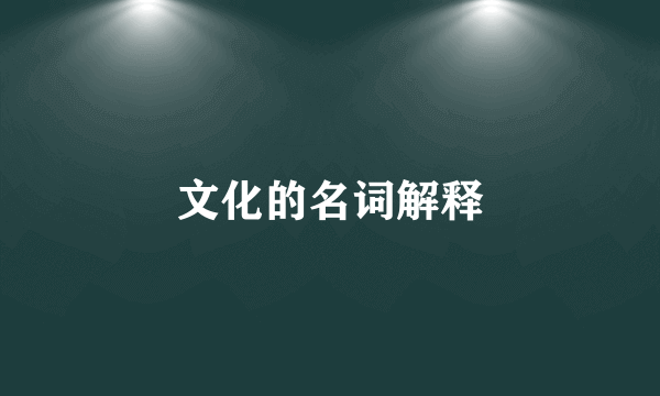 文化的名词解释