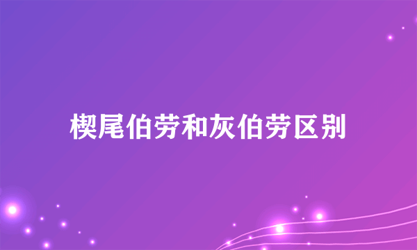 楔尾伯劳和灰伯劳区别
