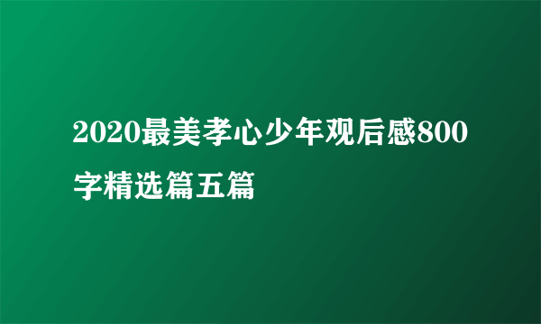 2020最美孝心少年观后感800字精选篇五篇