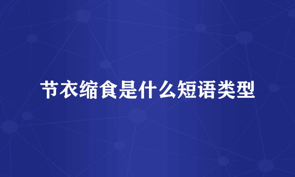 节衣缩食是什么短语类型