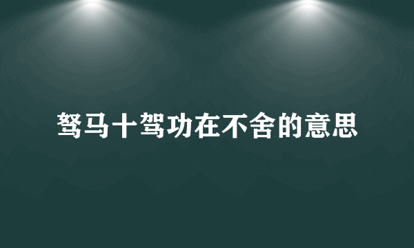 驽马十驾功在不舍的意思