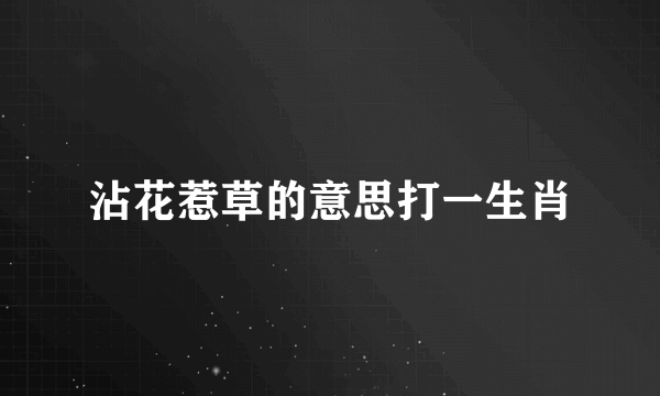 沾花惹草的意思打一生肖