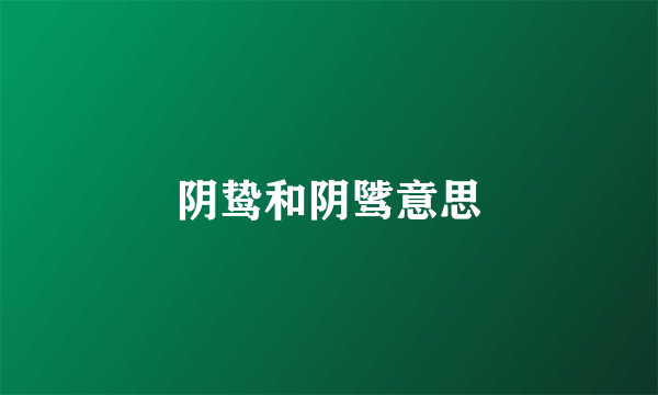 阴鸷和阴骘意思