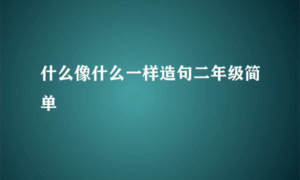 什么像什么一样造句二年级简单