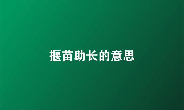 揠苗助长的意思