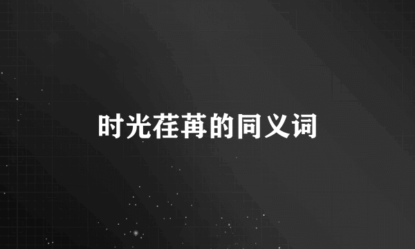 时光荏苒的同义词