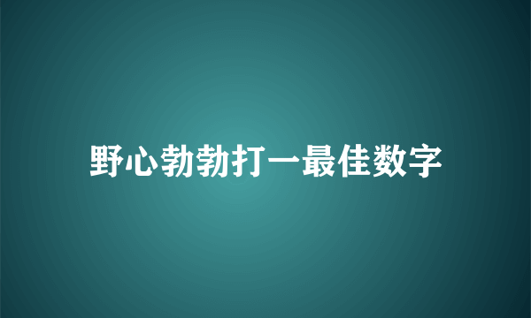 野心勃勃打一最佳数字