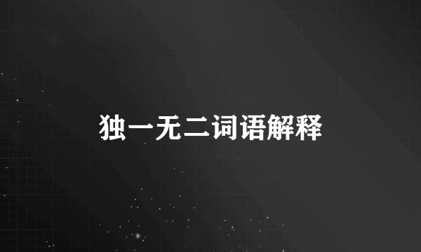 独一无二词语解释