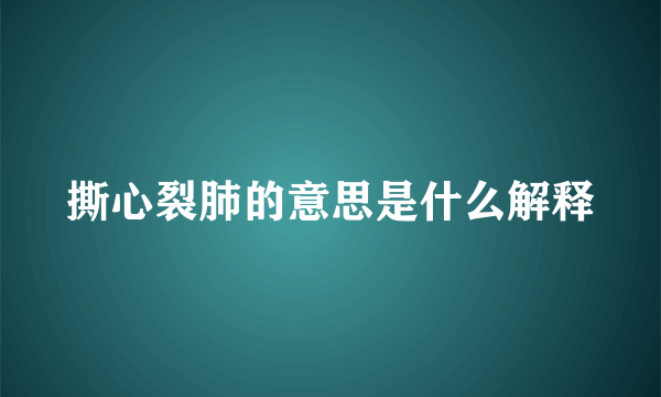 撕心裂肺的意思是什么解释
