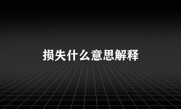 损失什么意思解释