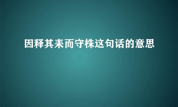 因释其耒而守株这句话的意思
