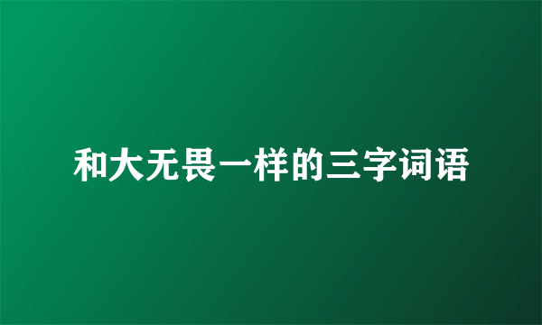 和大无畏一样的三字词语