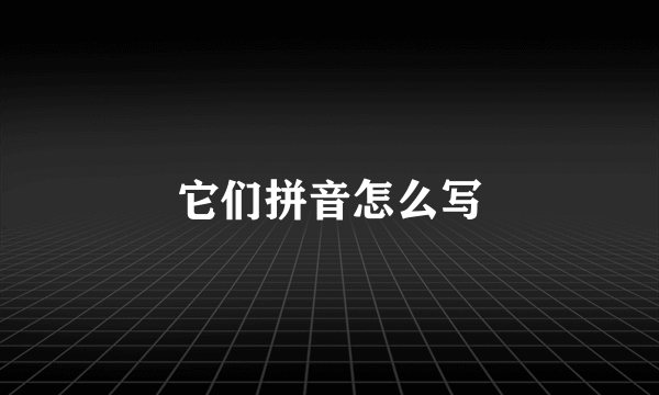 它们拼音怎么写
