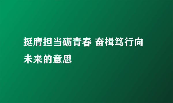 挺膺担当砺青春 奋楫笃行向未来的意思
