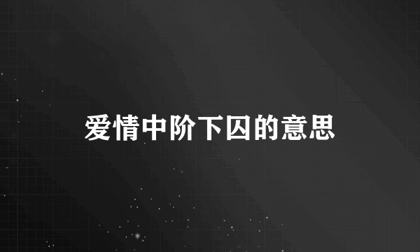 爱情中阶下囚的意思