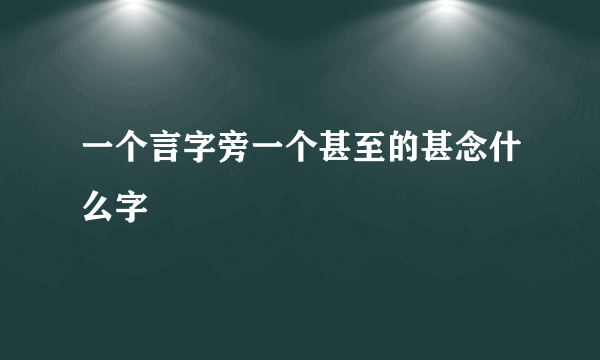 一个言字旁一个甚至的甚念什么字
