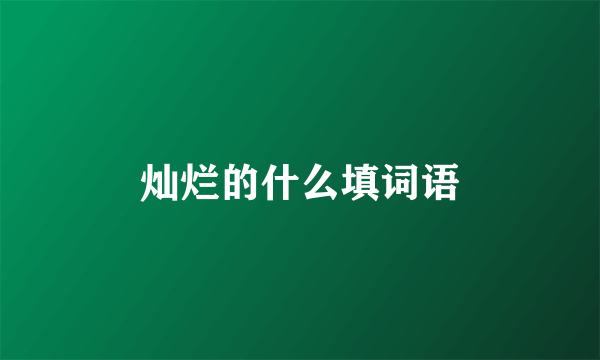 灿烂的什么填词语
