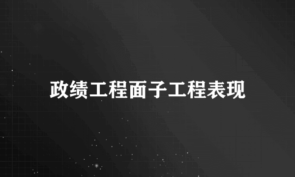 政绩工程面子工程表现