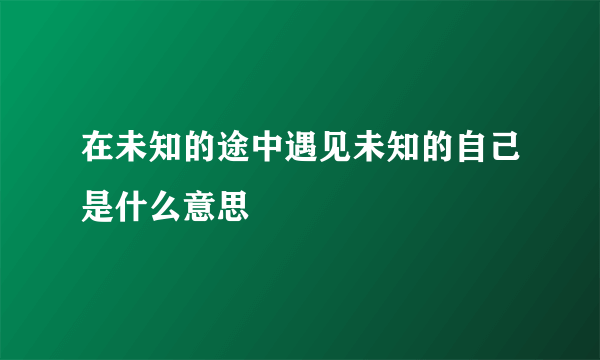 在未知的途中遇见未知的自己是什么意思