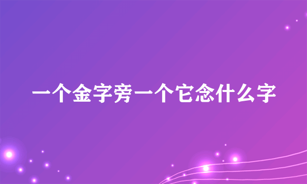一个金字旁一个它念什么字