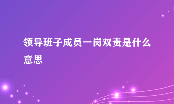 领导班子成员一岗双责是什么意思