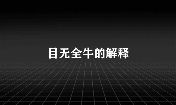 目无全牛的解释