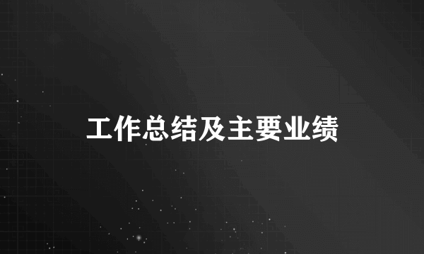 工作总结及主要业绩